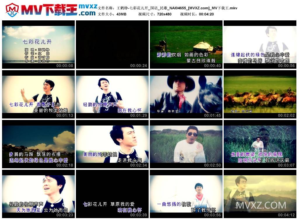 王鹤铮-七彩花儿开_国语_民歌_NAI04655
